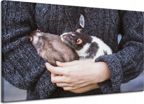 Vászonkép Állatok Rágcsálók 120x70 cm