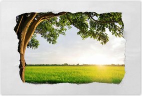 Poszterek 120x80 Misztikus naplemente