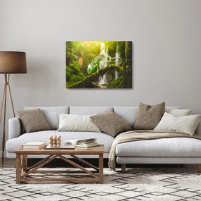 Gyík képe (üvegen) (70x50 cm)