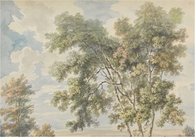 Dekoratív Fotótapéta Fali Falra Romantikus természet 208x146 Ragasztó