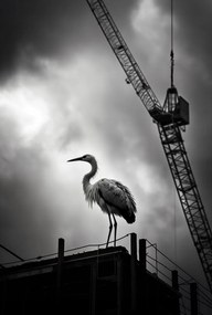 Poszter 61x90,5cm Magasan a horizont felett