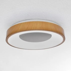 Brilagi - DORIA LED 48W stropní stmívatelné svítidlo 3000-6500K + DO