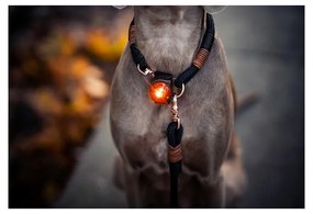 LED fény nyakörvre Amber - Orbiloc