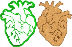 Mézeskalács lyukasztó Orvostudomány Kardiológus Emberi Anatómiai Szív