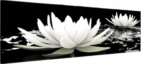 Vászonkép 145x45 Fehér lótusz tavirózsa nyugalom harmónia meditáció zen tisztaság