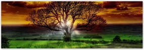 Fotótapéta flizelina 312x104 Varázslatos fa