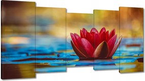Vászonkép 150x80 Vízi liliom Virág Víz