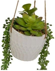 Műnövény (magasság 40 cm) – Casa Selección