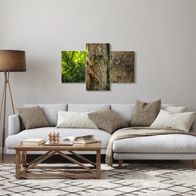 Kép - Mókus (90x60 cm)