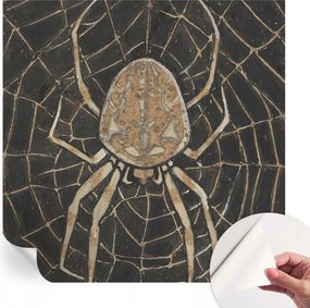 Öntapadós tapéta Divatos 3D fali ragasztóval Pókháló 250x250 cm