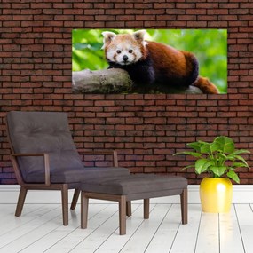 A vörös panda képe (120x50 cm)