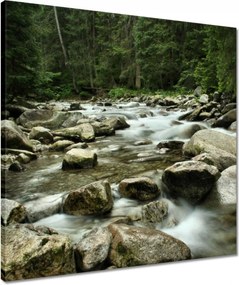 Vászonkép 50x50 Tátra Lengyel hegyek Kilátás