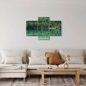 Kép - Tűlevelű a tónál (90x60 cm)