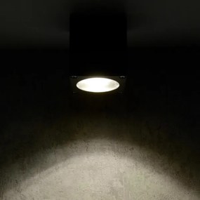 Kültéri fali lámpa MORRIS 1xGU10/35W/230V IP54