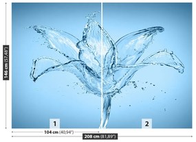 Fotótapéta víz virág 104x70 cm