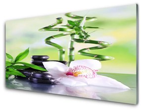 Üvegkép Bamboo Orchid Zen Spa 100x50 cm 2 fogas