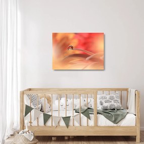 Virágos harmatcsepp képe (üvegen) (70x50 cm)