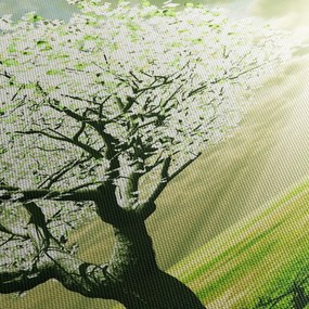 Fa képe a réten (120x50 cm)