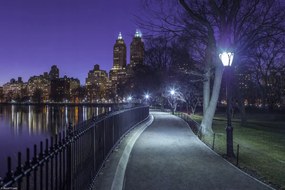 Poszter 30x20cm Central Park, Assaf Frank