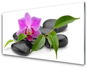 Üvegkép falra Orchidea Virág Art 100x50 cm