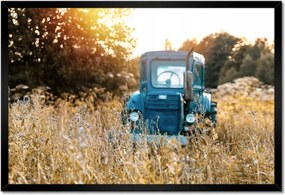 Poszterek keretben 60x40 Antik traktor a réten