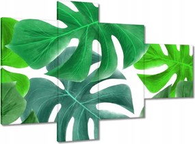 Vászonkép 100x70 Levelek Monstery Trópusok