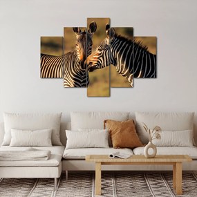 Kép - Két zebra (150x105 cm)