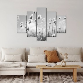 Kép - Boho nyuszi farok fű (150x105 cm)
