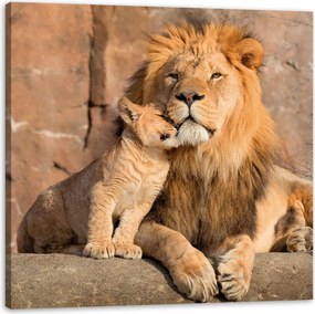 Vászonkép Oroszlán és oroszlánkölyök Természet Sziklák Fény 50X50 cm
