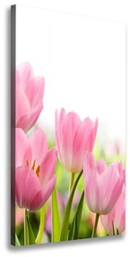 Egyedi vászonkép Rózsaszín tulipánok ocv-76412458