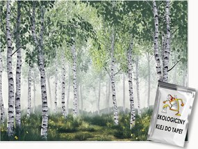 3D Fotótapéta Nyírfa Erdő Természet Fali Hálószoba Nappali 300x210