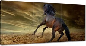 Festmények 180x90 Ló