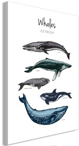 Kép - Whales (1 Part) Vertical
