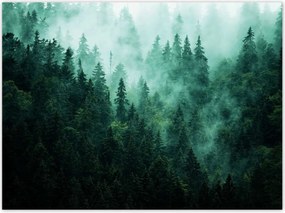 Poszterek 135x100 Erdő Köd Tájkép Utazás