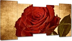 Vászonkép 150x80 Rózsa szépia háttérrel