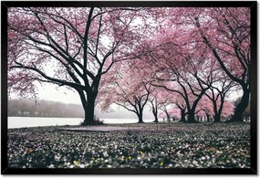 Poszterek keretben 60x40 Fa Kilátás