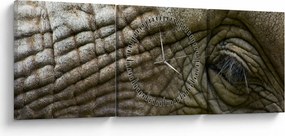 Kép - Közelkép az öreg elefánt szeméről (órával) (90x30 cm)
