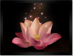 Poszter keretben 40x30 Rózsaszín lótuszvirág