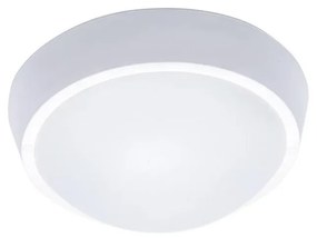 Solight Solight WO738 - LED Kültéri mennyezeti lámpa 1xLED/18W/230V IP65 SL0475