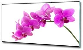 Egyedi üvegkép Rózsaszín orchidea osh-67691978