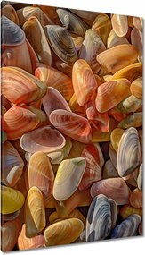 Vászonkép 80x120 Színes kagylók nyomtatás