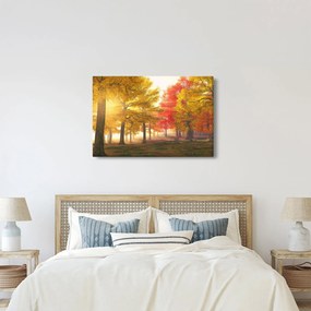 Őszi fák képe (90x60 cm)