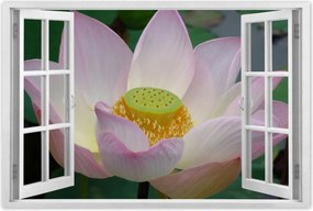 Poszterek 90x60 Lótusz Lótuszvirág