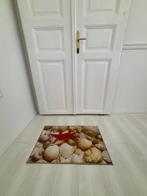 Tengericsillag, kagylókkal szennyfogó szőnyeg 50x80 cm