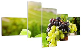 Kép - szőlő (150x85cm)