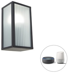 Intelligens kültéri fali lámpa fekete bordás üveggel, WiFi A60 - Charlois