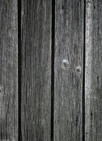 Poszter 20,5x28,4cm Fa díszlécek, Assaf Frank