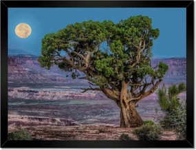 Poszterek keretben 40x30 Kilátás Tájkép