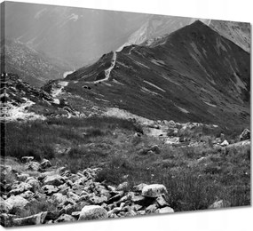 Vászonkép 50x40 Tátra Lengyel hegyek Kilátás