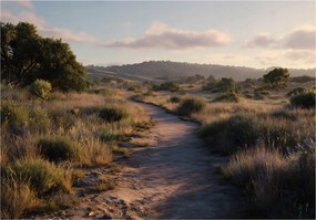 Fotótapéta Tájkép Természet Fák Hálószoba Nappali Tapéta Flizelina 350x250